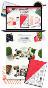 Branding Ebook Shopify Store & Ecommerce Business For Sale