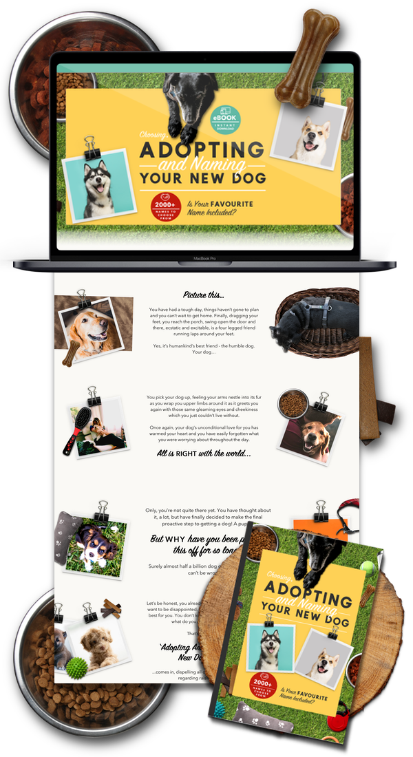 Dog Ebook Shopify Store & Ecommerce Business For Sale