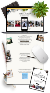 Freelancer Ebook Shopify Store & Ecommerce Business For Sale