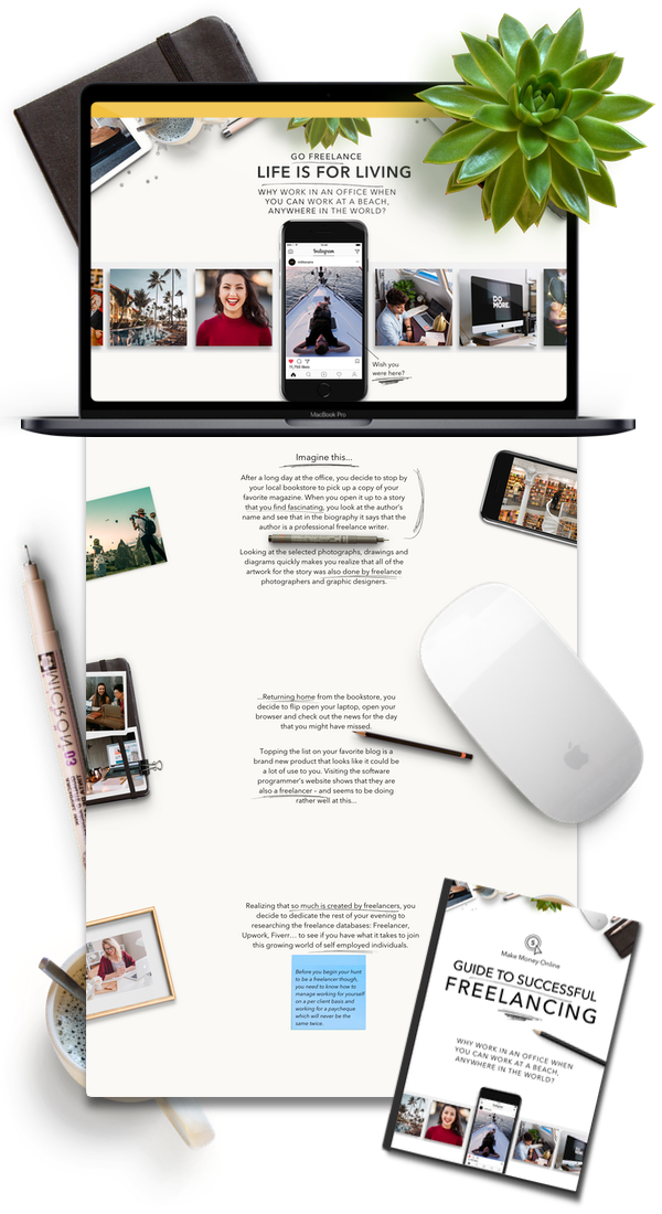 Freelancer Ebook Shopify Store & Ecommerce Business For Sale