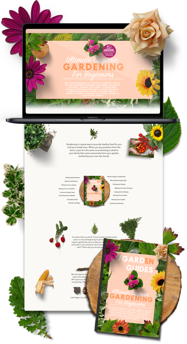 Gardening Ebooks Shopify Store & Ecommerce Business For Sale